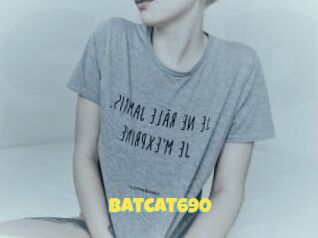 BatCat690