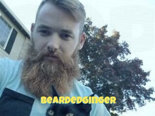 Beardedginger