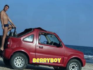 BerryBoy