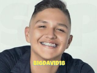BigDavid18