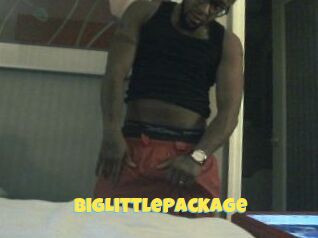 BigLittlePackage