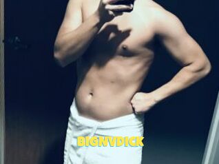BigNVDick