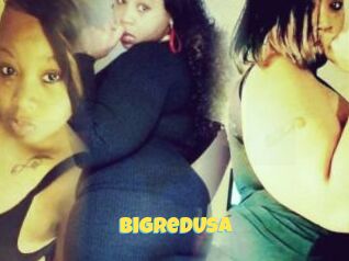BigRedUsa