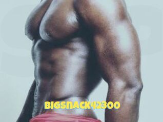 BigSnack42300