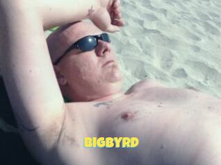 Bigbyrd