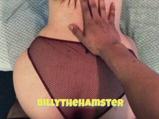 Billythehamster
