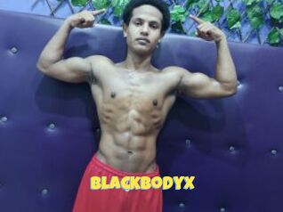 BlackBodyX