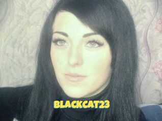 BlackCat23