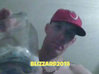Blizzard2018