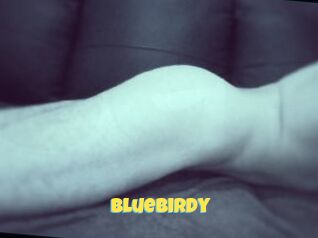 BlueBirdy