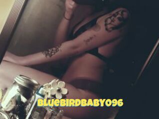 Bluebirdbaby096