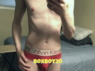 BoxBoy20