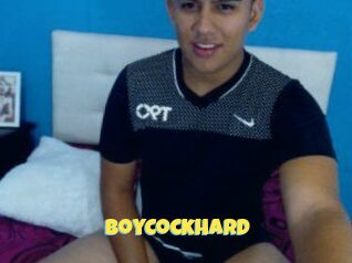 BoyCockHard