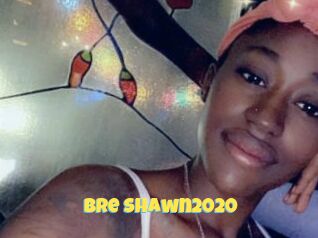 Bre_Shawn2020