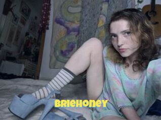 BrieHoney