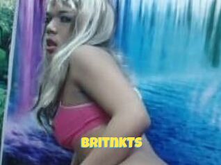 BritnkTS