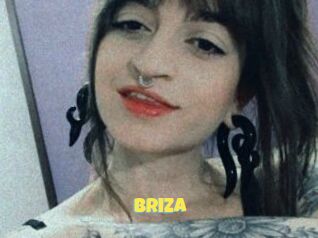 Briza