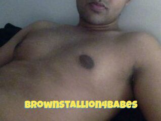 BrownStallion4Babes