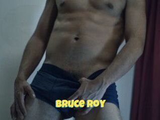 Bruce_Roy