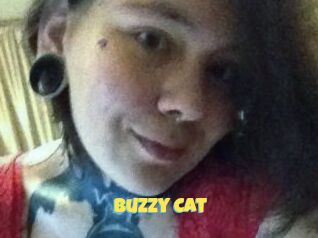 Buzzy_Cat