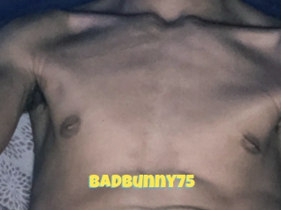 Badbunny75
