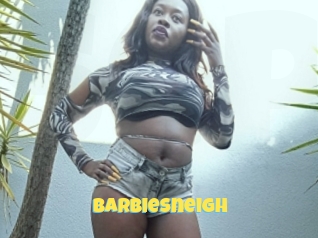 Barbiesneigh