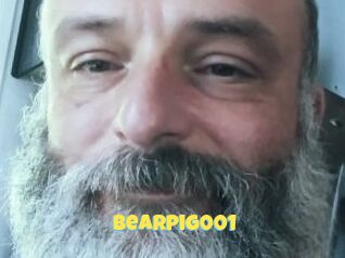 Bearpig001