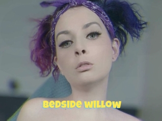 Bedside_willow