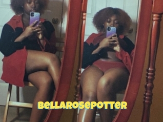 Bellarosepotter
