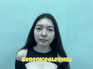 Berenicegledhill