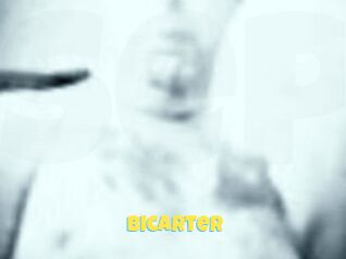 Bicarter