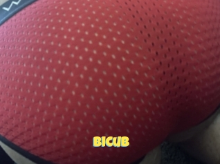 Bicub