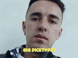 Big_dicktop23