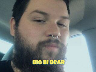 Big_bi_bear