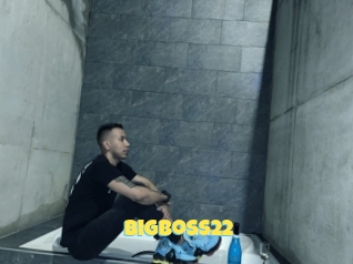 Bigboss22