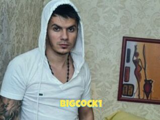 Bigcock1