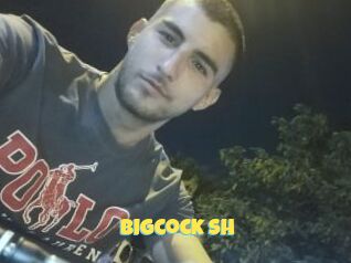 Bigcock_sh