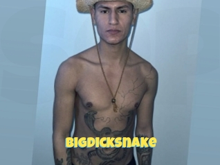 bigdicksnake Sexe et Porno