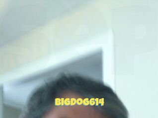 Bigdog614