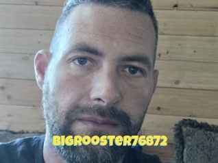 Bigrooster76872
