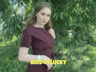 Birdoflucky