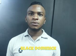 Black_dominick