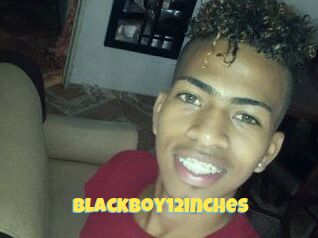 Blackboy12inches