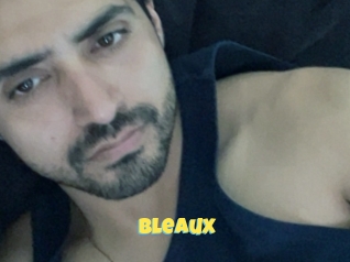 Bleaux