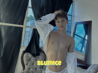 Blumice