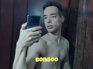 Bongoo