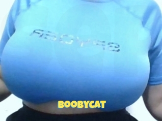 Boobycat
