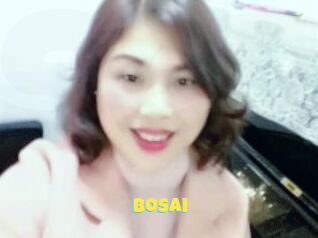 Bosai