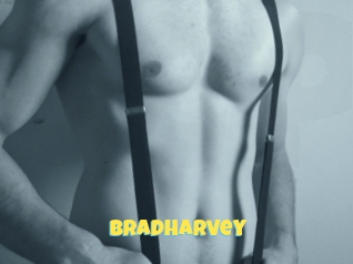 Bradharvey