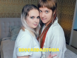 Breeandantonia